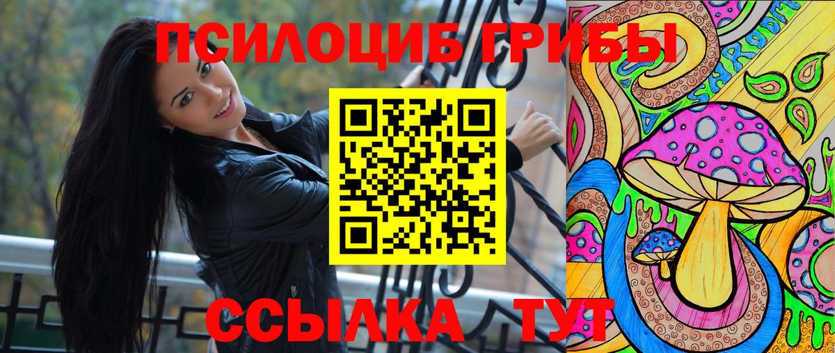 Кизляр  Псилоцибиновые грибы ЛСД  Псилоцибиновые грибы GOLDEN TEACHER  Вход с VPN 